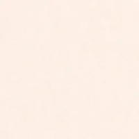 Artique Solid Core Limestone